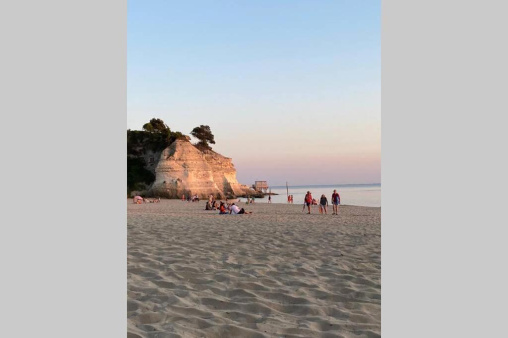 Maison Au Coeur De Meschers - Proche Des Plages Meschers-sur-Gironde Exterior foto