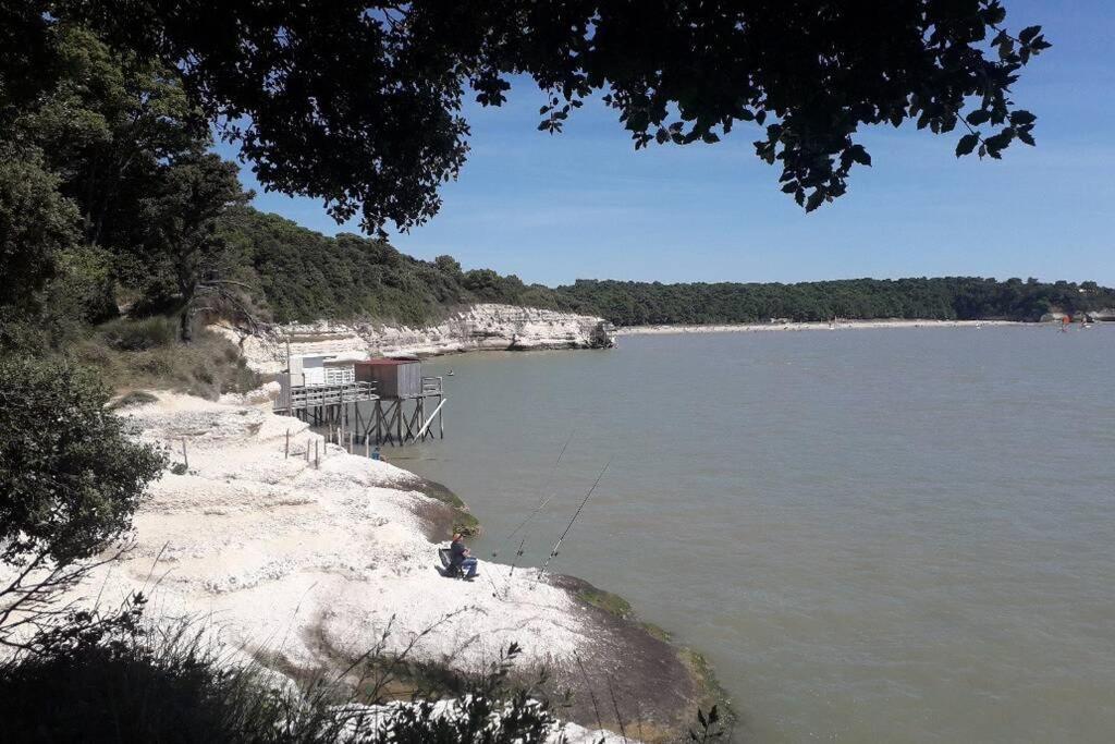 Maison Au Coeur De Meschers - Proche Des Plages Meschers-sur-Gironde Exterior foto
