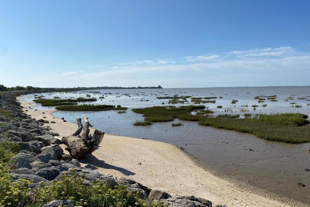Maison Au Coeur De Meschers - Proche Des Plages Meschers-sur-Gironde Exterior foto